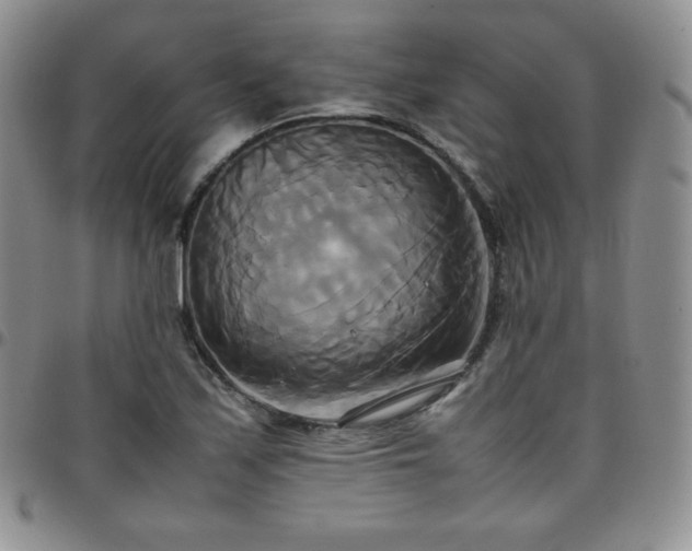 X0000099231171200805011130