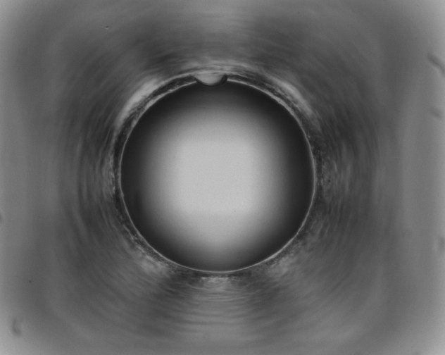 X0000099231172200805011130