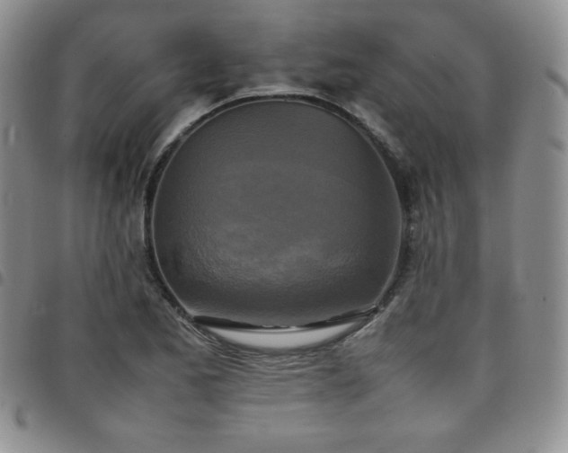 X0000099231173200805011130