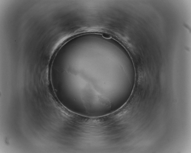 X0000099231174200805011130