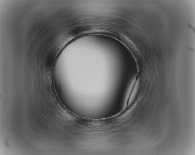 X0000099231177200805011130