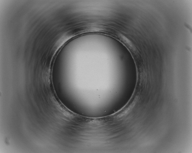 X0000099231178200805011130