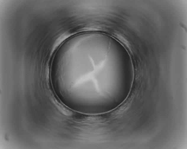 X0000099231179200805011130