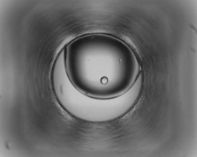 X0000099231181200805011130