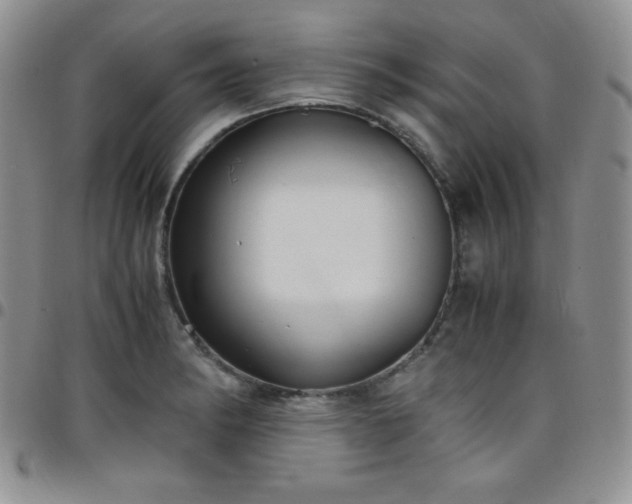 X0000099231182200805011130