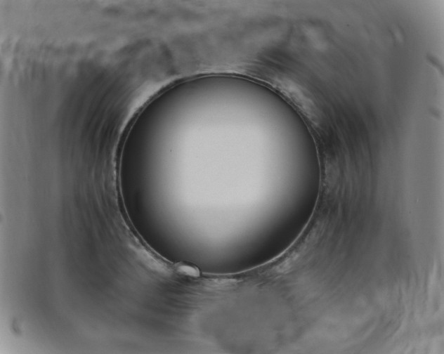 X0000099231184200805011130