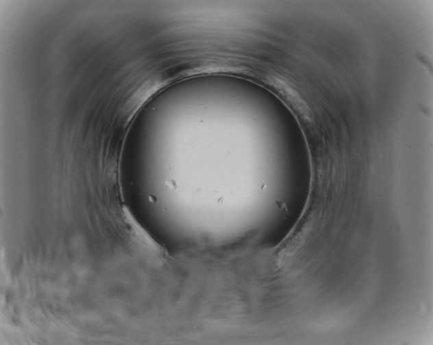 X0000099231185200805011130