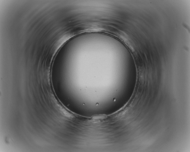 X0000099231186200805011130