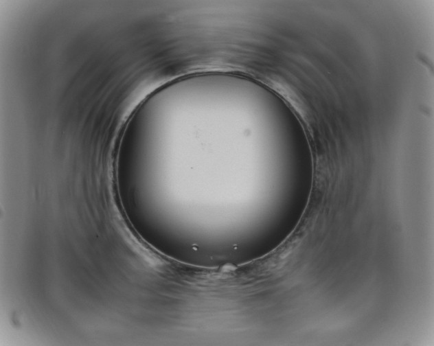 X0000099231187200805011130