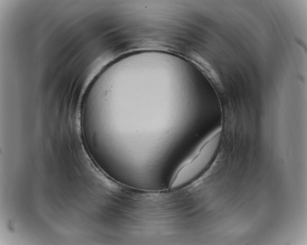 X0000099231188200805011130