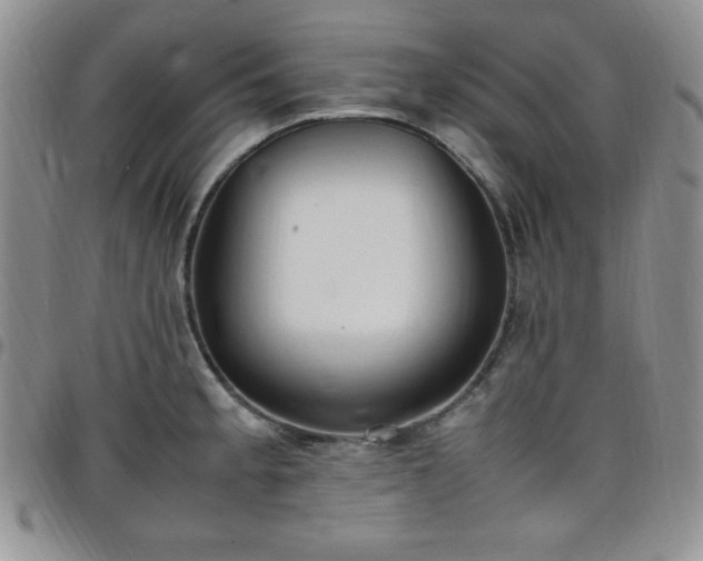 X0000099231189200805011130