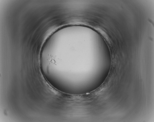 X0000099231191200805011130