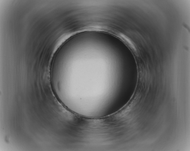 X0000099231192200805011130