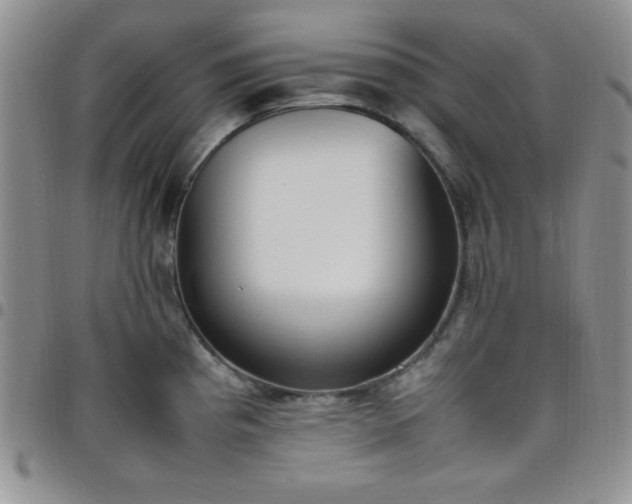 X0000099231193200805011130