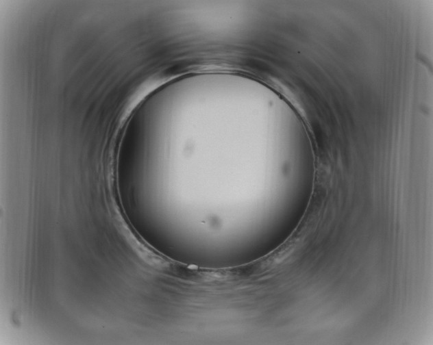 X0000099231195200805011130