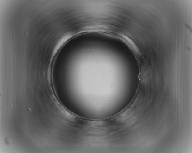 X0000099231196200805011130