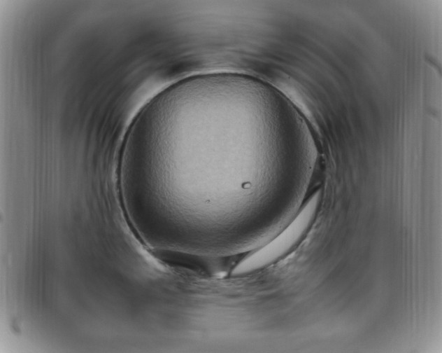 X0000099231197200805011130