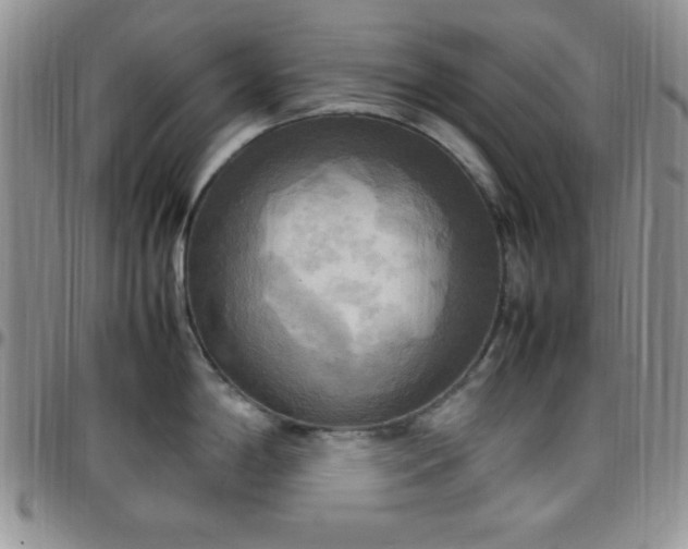 X0000099231198200805011130