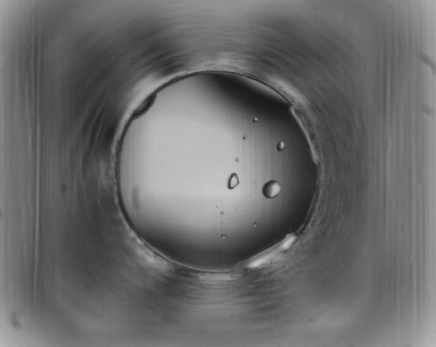 X0000099231200200805011130