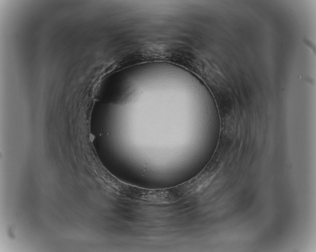 X0000099231201200805011129