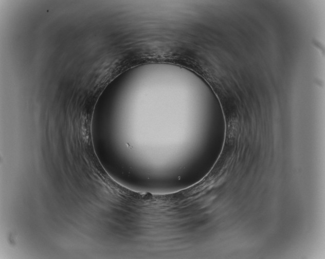 X0000099231202200805011129