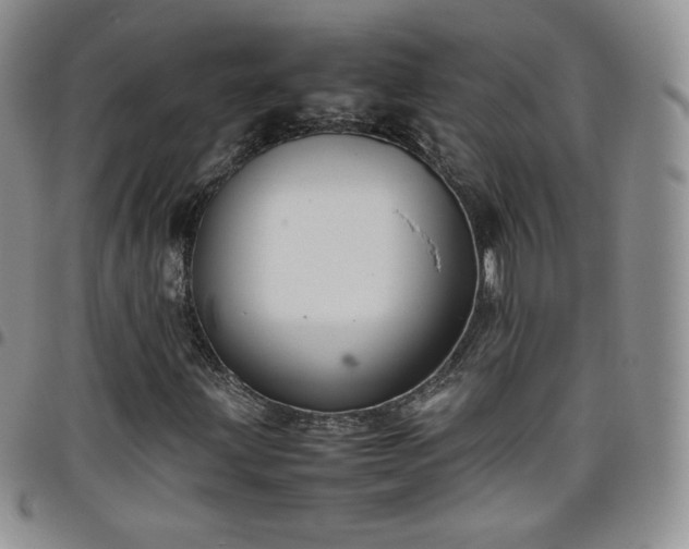 X0000099231203200805011129