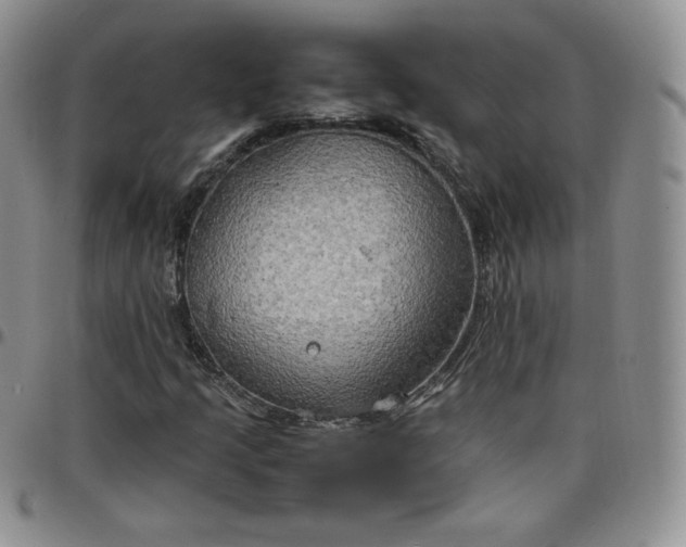 X0000099231205200805011129