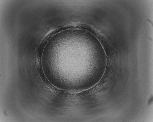 X0000099231206200805011129