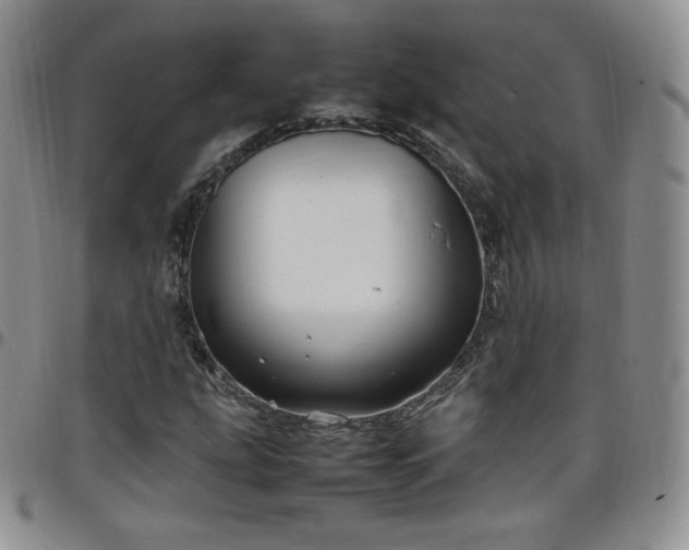 X0000099231207200805011129