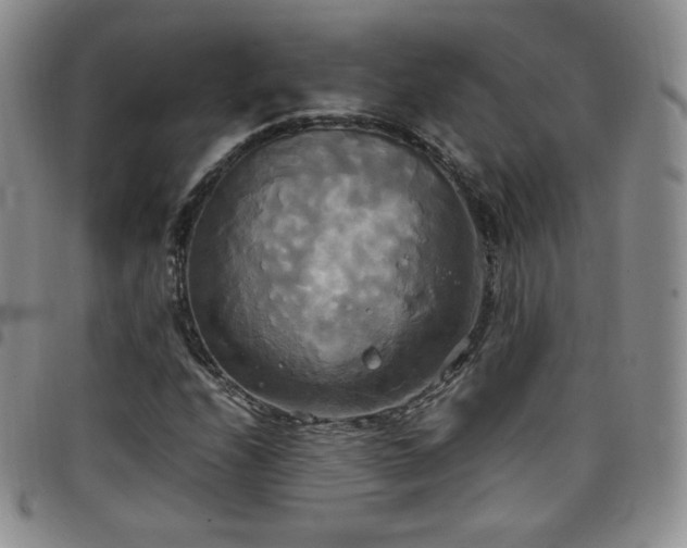 X0000099231208200805011129