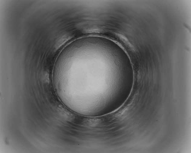 X0000099231209200805011129