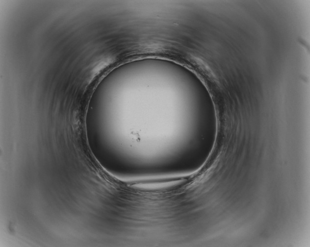 X0000099231210200805011129