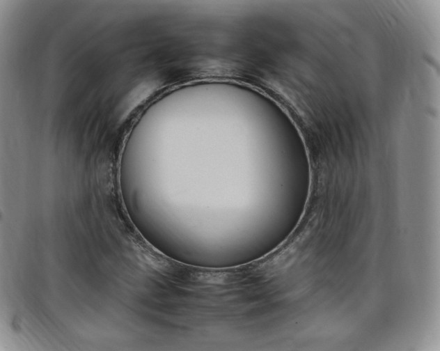 X0000099231211200805011129