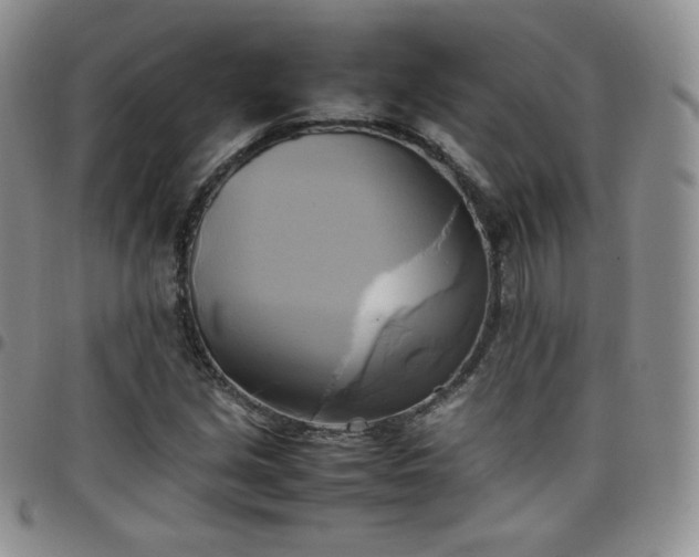 X0000099231213200805011129