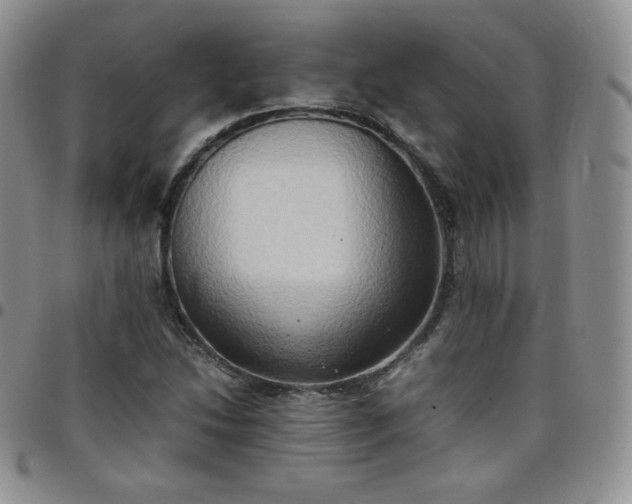 X0000099231214200805011129