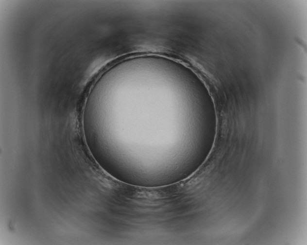 X0000099231215200805011129