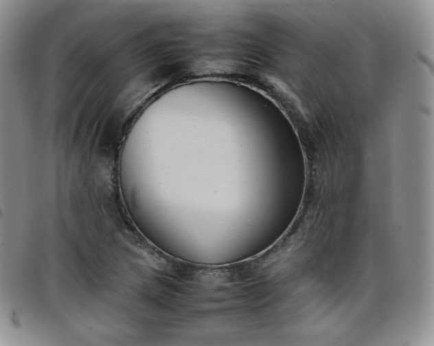 X0000099231217200805011129