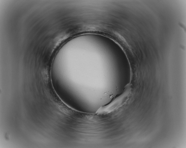 X0000099231218200805011129