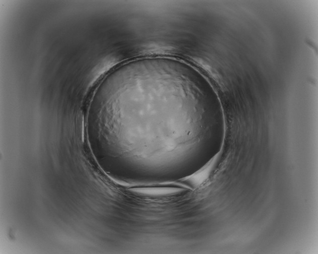 X0000099231219200805011129