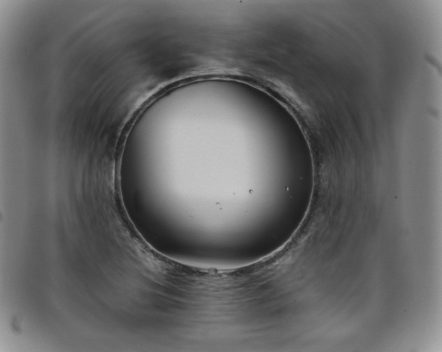 X0000099231220200805011130