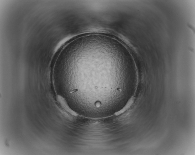 X0000099231222200805011130