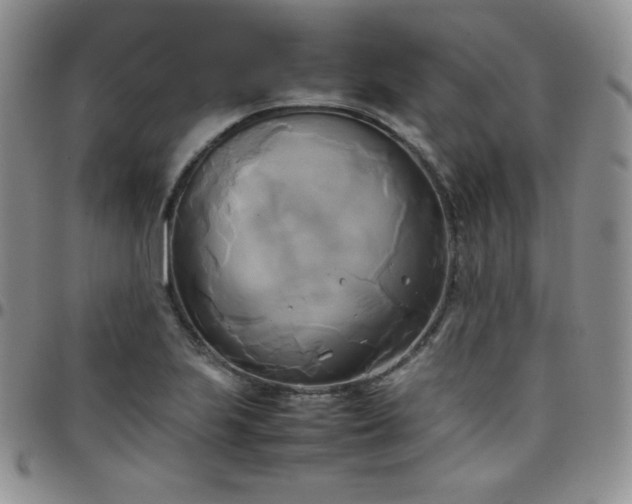 X0000099231223200805011130