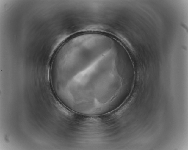 X0000099231224200805011130