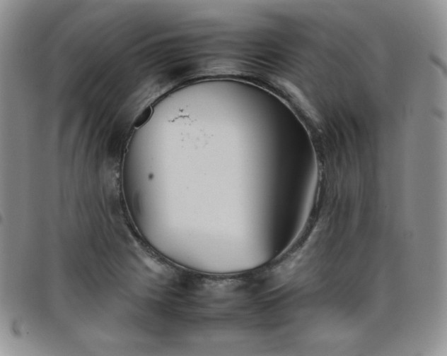 X0000099231225200805011130