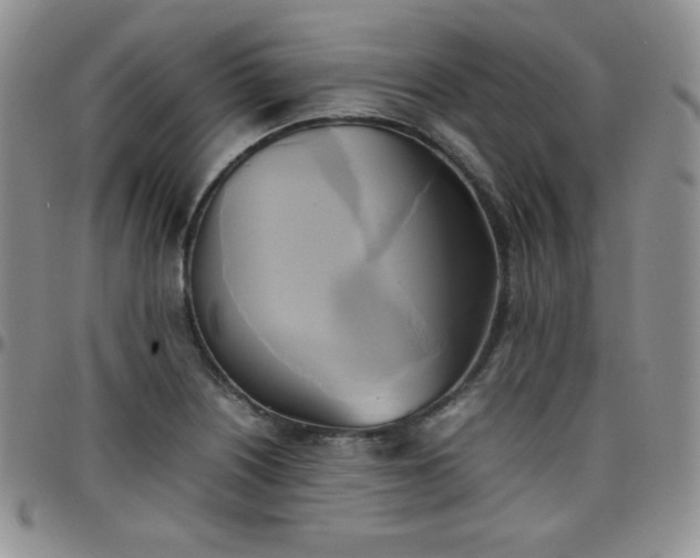 X0000099231226200805011130