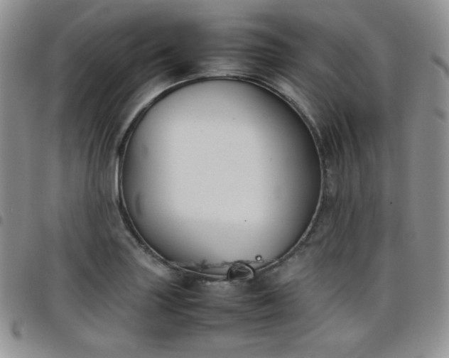 X0000099231227200805011130