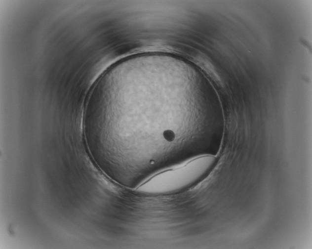 X0000099231228200805011130