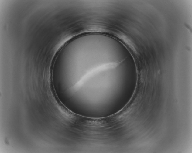 X0000099231229200805011130