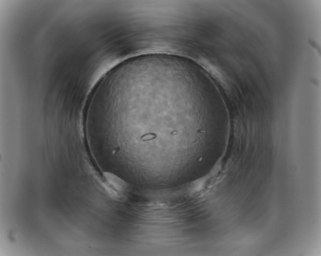 X0000099231230200805011130