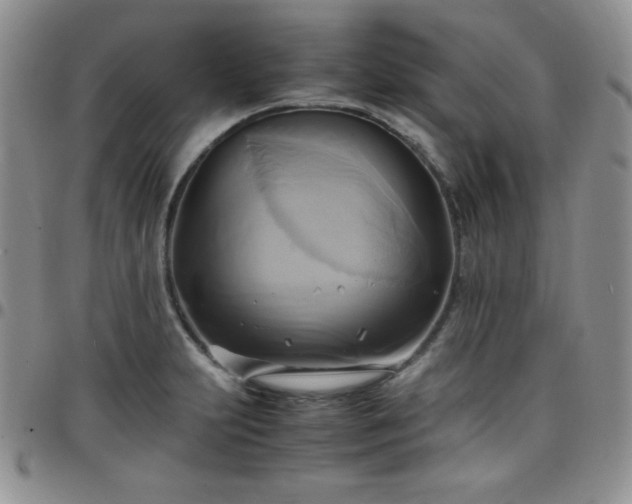 X0000099231231200805011130